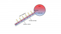 Evacuated Tube Solar Collector (ETSC)